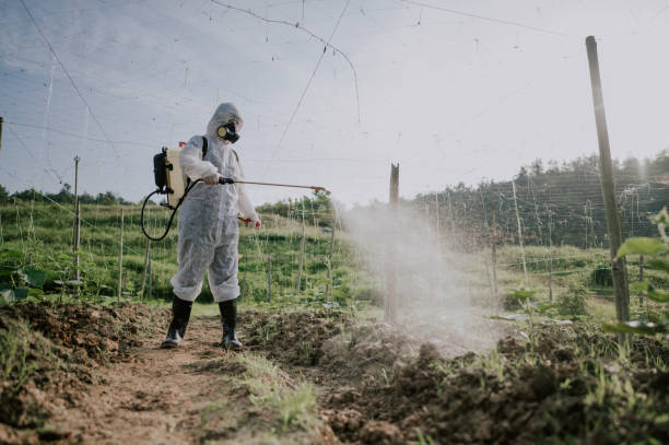 Best Local Pest Control Services  in Pymatuning Central, PA