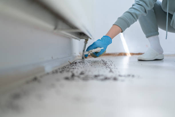 Best Mosquito Control Services  in Pymatuning Central, PA