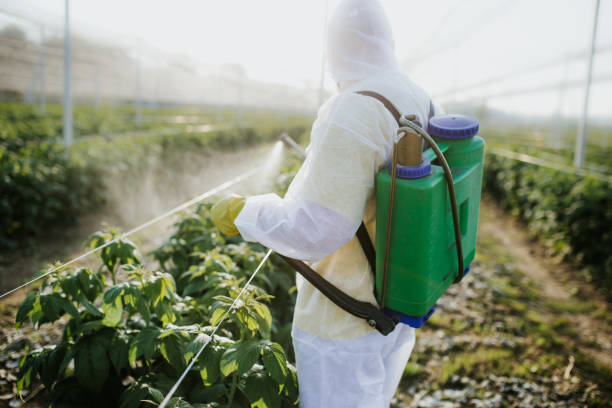 Best Termite Control Services  in Pymatuning Central, PA
